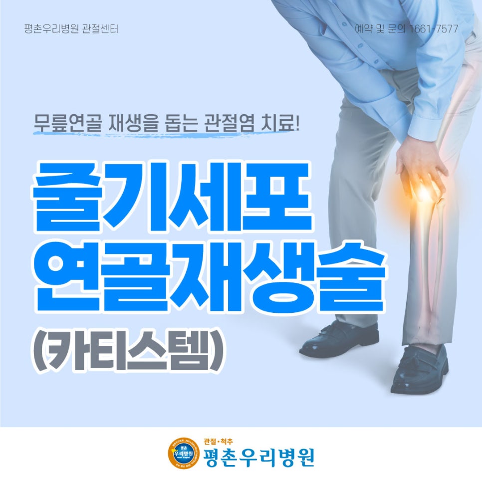 무릎 연골 재생을 돕는 관절염 치료 줄기세포 연골재생술 카티스템
